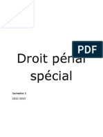 Droit Pénal Spécial