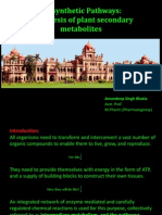 Biosynthetic Pathways