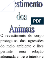 Revestimento Dos Animais