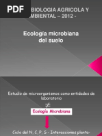 Ecología Microbiana Suelo Rizosfera