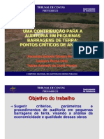 Uma Contribução para A Auditoria em Pequenas Barragens de Terra: Pontos Críticos de Análise