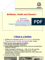 Buffalo Health and Disease For AVSSA