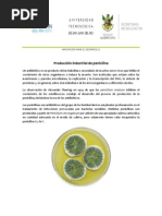 Bioproceso Penicilina