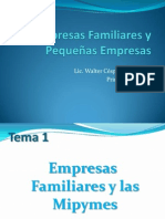 Empresas Familiares