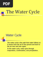 Water Cycle