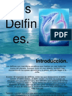 REVISTA Delfines 2013