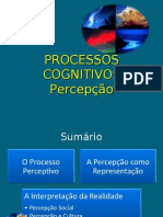 Processos Cognitivos - A Percepção