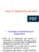 Epidometria Del Arbol