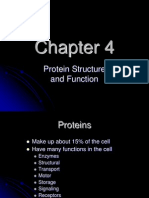 Protein Structure and Function