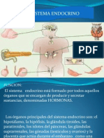 Cambios en El Sistema Endocrino