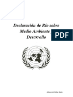 Declaracion de Rio