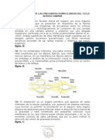 Solucionario de Las Preguntas Domiciliarias Del Ciclo Repaso Unmsm 2009