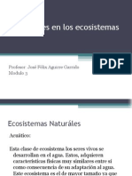 Presentación 4 Relaciones en Los Ecosistemas