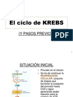 Ciclo de Kreps