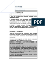 8o Ano 1o Bim PDF