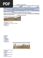 Munición para Armas Pequeñas