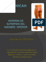 Anatomia de Superficie Del Miembro Inferior