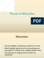 Physiology of Micturition Reflex