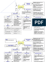 Multimedia F5 Mind Map