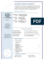 Curriculum Vitae Modelo3a Azul III JM