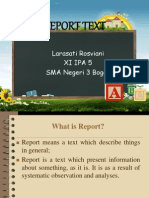 Report Text