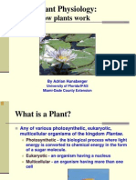 Plant Physiology:: How Plants Work