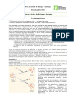 Ficha Trabalho Datação Relativa e Absoluta