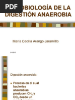 Anaerobiosis