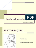 Lesiones Del Plexo Braquial