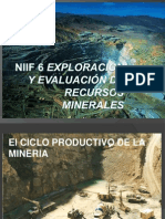 NIIF 6 VF