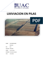 Lixiviacion en Pilas