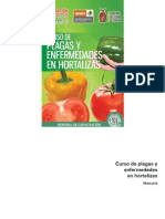 Curso de Plagas y Enfermedades en Hortalizas