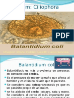 Clase V - Balantidium Coli