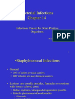 Bacterial Infections: Infections Caused by Gram Positive Organisms