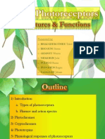 Photoreceptors Part 1