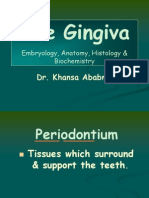 GINGIVA