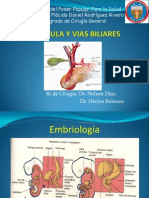 Vias Biliares