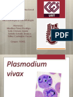 Plasmodium Vivax (Corregida)