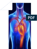 Tabajo de Anatomia Corzon