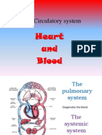 The Circulatory System