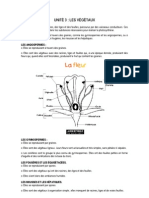 UNITÉ 3 - Les Végétaux PDF