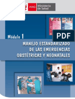 Manejo Estandarizado Emerg Obste y Neonatales1138 - dgsp275-1