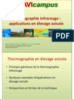 Thermographie en Elevage Avicole