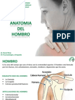 Anatomia Del Hombro