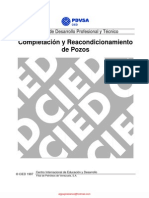 CIED PDVSA - Completación y Reacondicionamiento de Pozos PDF