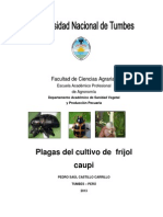 Manual de Plagas de Frijol CAUPI NEW 2013