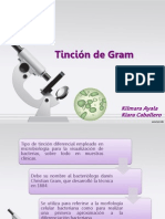 Tincion Gram