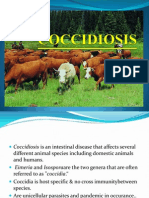 Coccidiosis