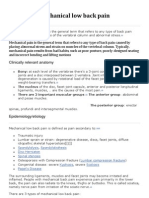 Mechanical Low Back Pain: Clinically Relevant Anatomy