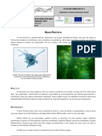 Informativa Protista